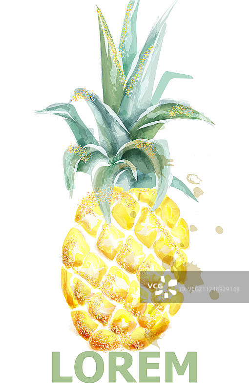水彩菠萝配热带水果图片素材