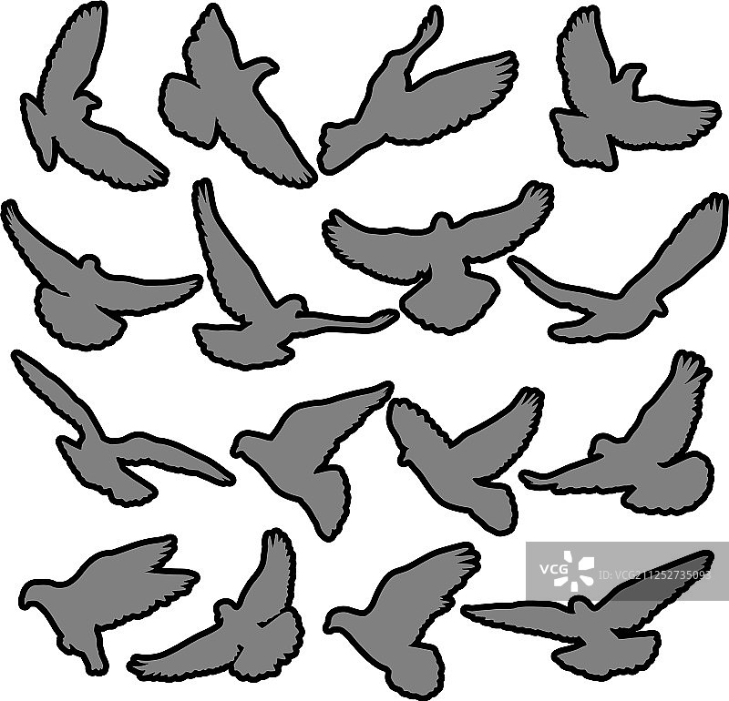 概念爱或和平设置轮廓鸽子图片素材