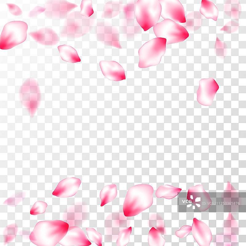 粉红色的樱花花瓣孤立图片素材