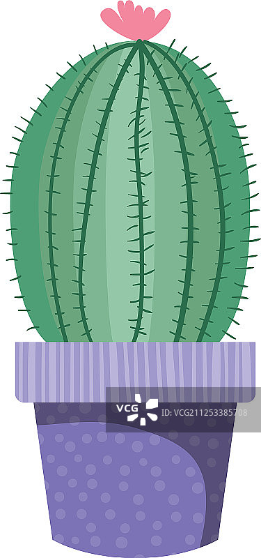 仙人掌盆栽孤立图标图片素材