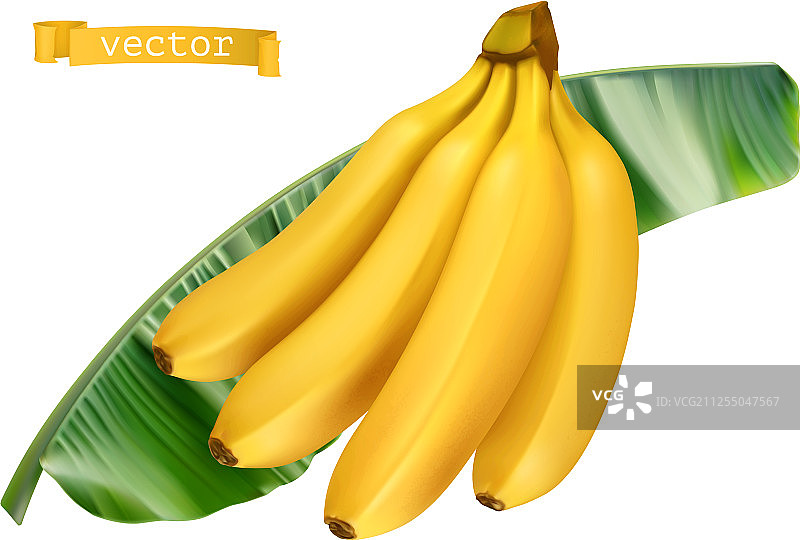 香蕉绿叶新鲜水果3d逼真的图标图片素材