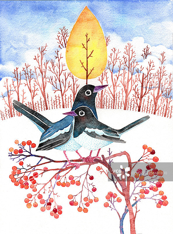 唯美水彩手绘插画-冬天在树枝上的两只喜鹊图片素材
