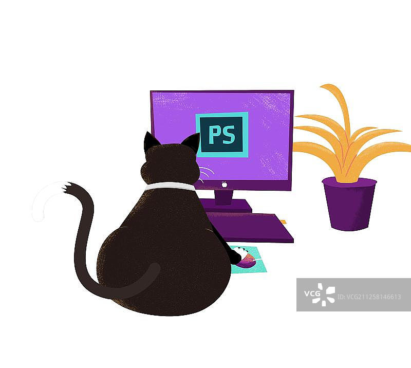 一只玩电脑的猫图片素材