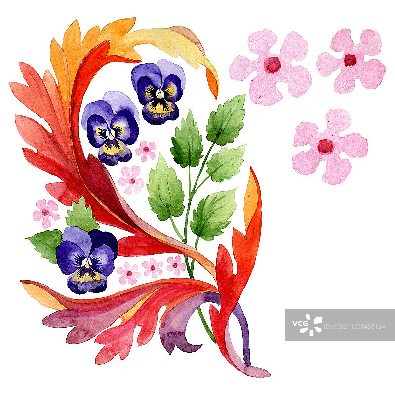 用三色堇植物花装饰。水彩背景插图集。孤立的中提琴插图元素。图片素材