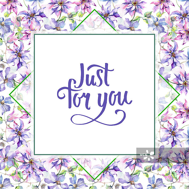 蓝紫色的铁线莲花束植物花。水彩背景插图集。边框装饰方形。图片素材