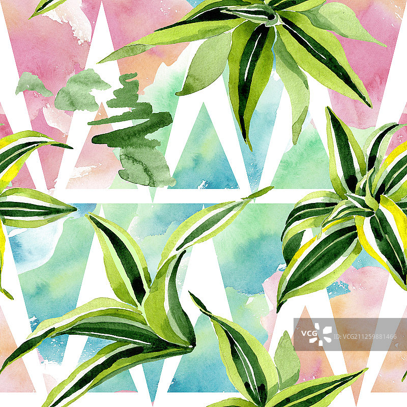Dracena绿叶。叶植物植物的花的叶子。水彩插图集。无缝的背景图案。图片素材