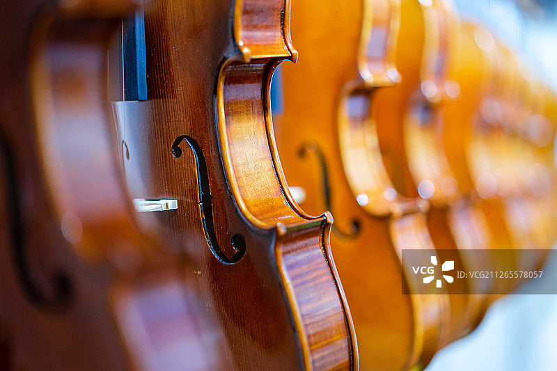 乐器小提琴图片素材