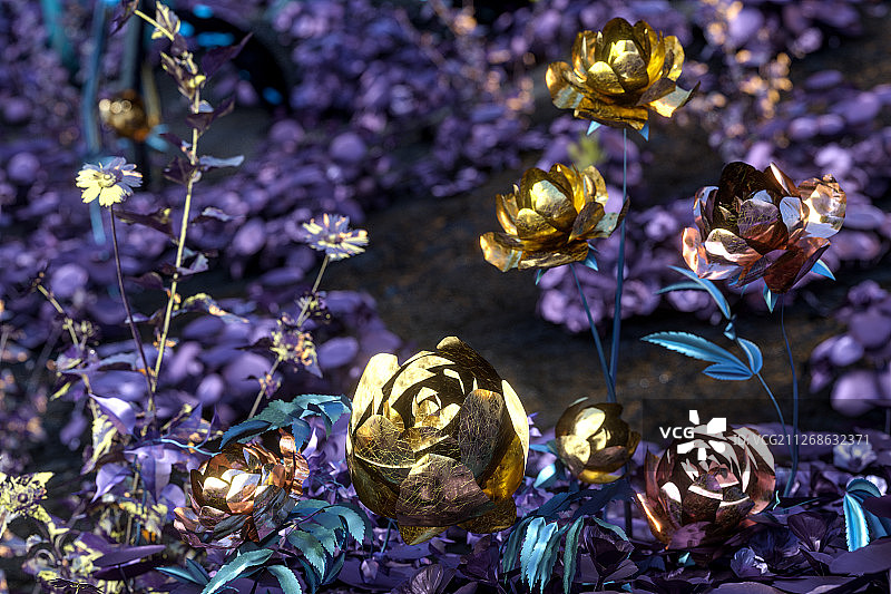 华贵鲜艳的植物花园 三维渲染图片素材