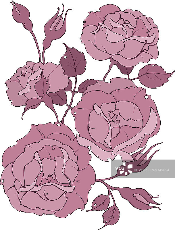 束粉色玫瑰图片素材