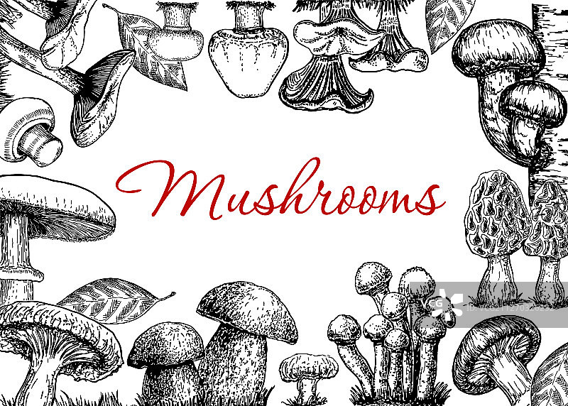 蘑菇手绘框架非常适合菜单图片素材