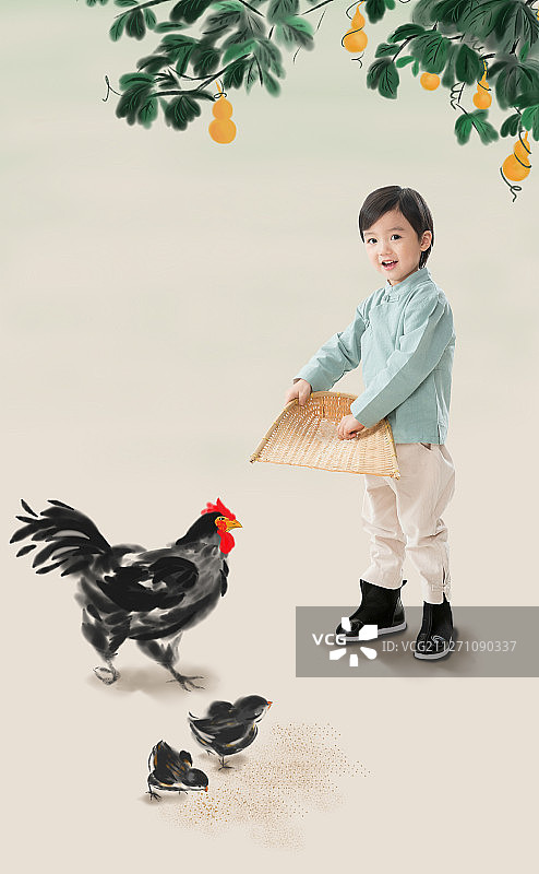 小男孩拿着簸箕撒谷物喂鸡图片素材