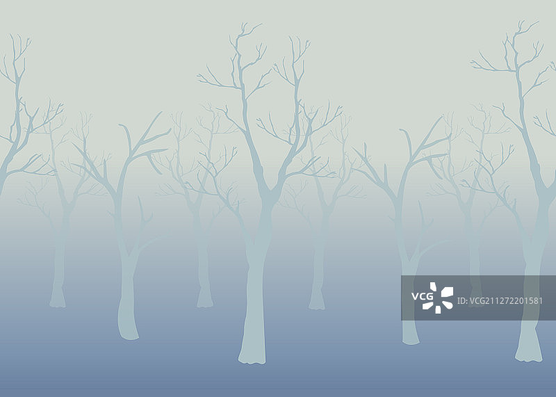 冬天的树木为冬天的风景作背景图片素材