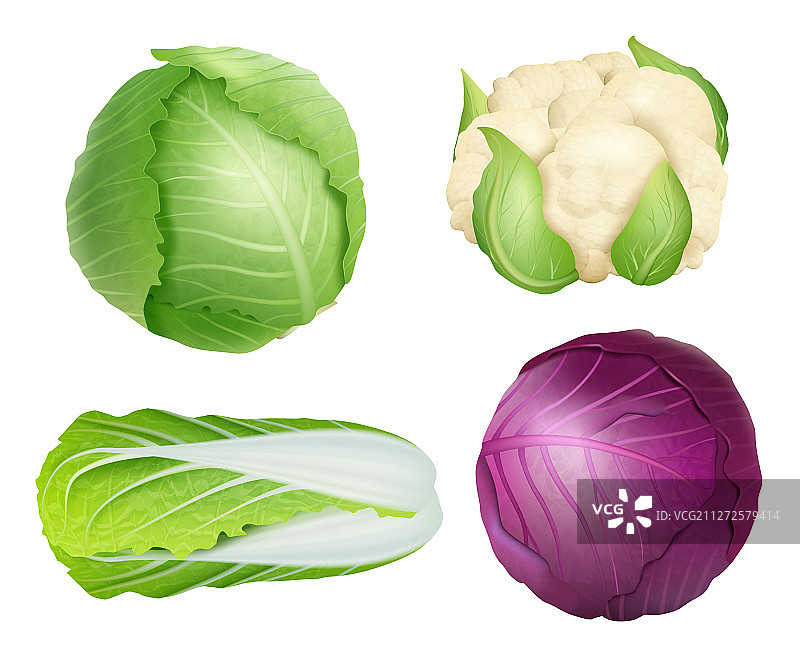 白菜素菜，新鲜健康，食物自然图片素材