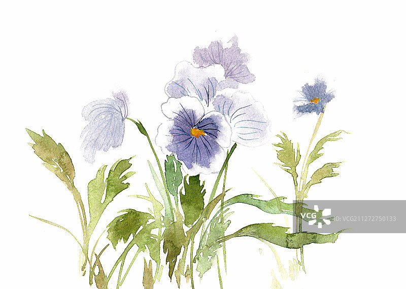春天的紫色花朵图片素材