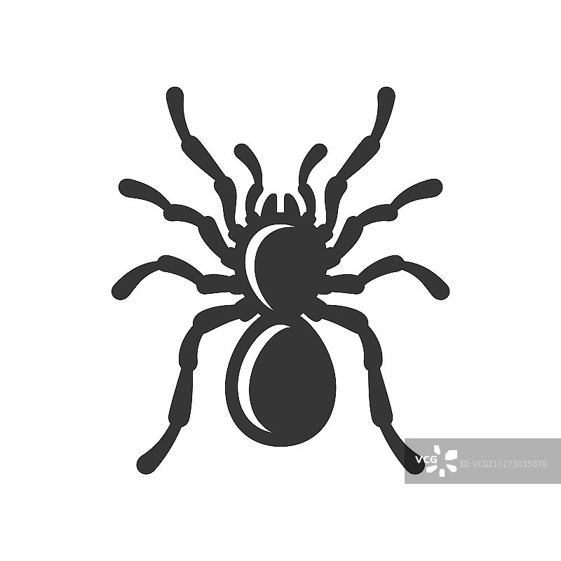 黑蜘蛛剪影图标上的白色背景图片素材