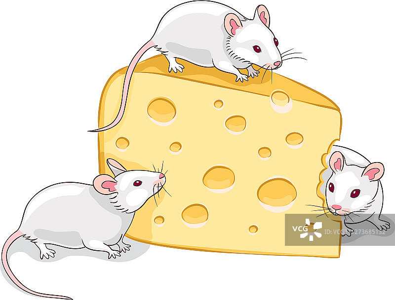 三只小白鼠和一块奶酪图片素材