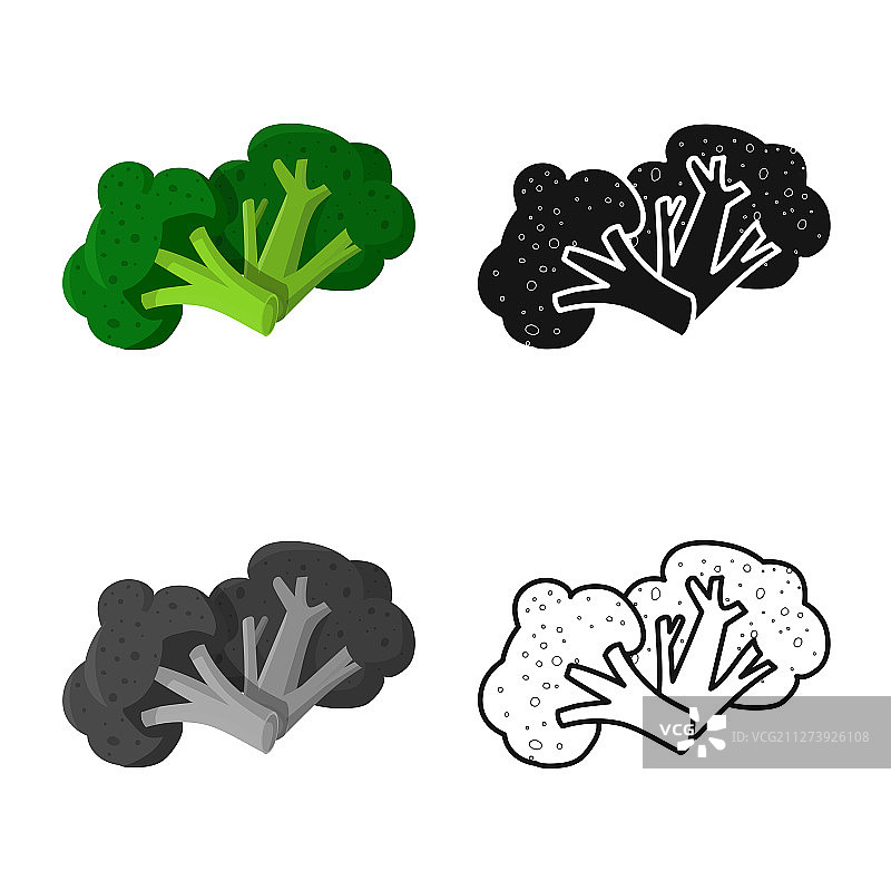 西兰花和卷心菜图标图片素材