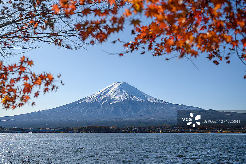 日本富士山枫叶图片素材