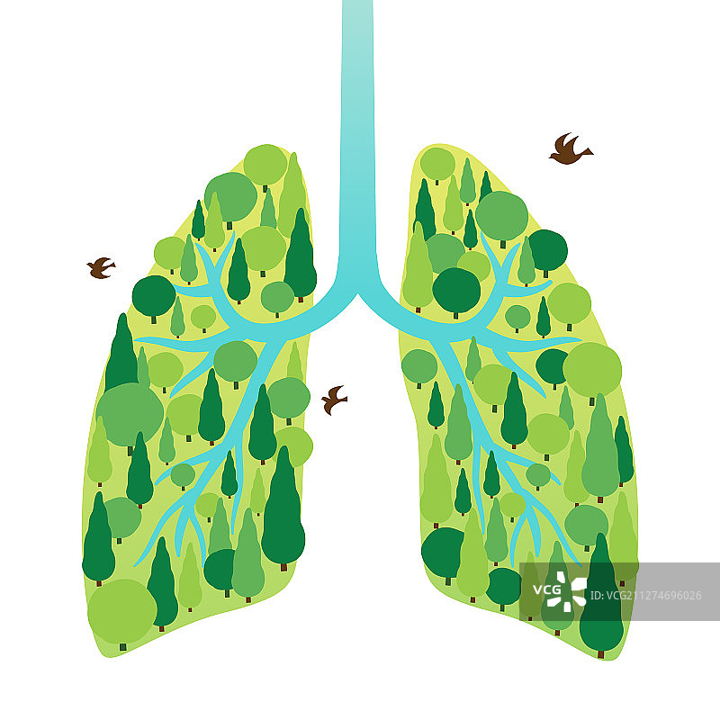 森林组成的肺图片素材