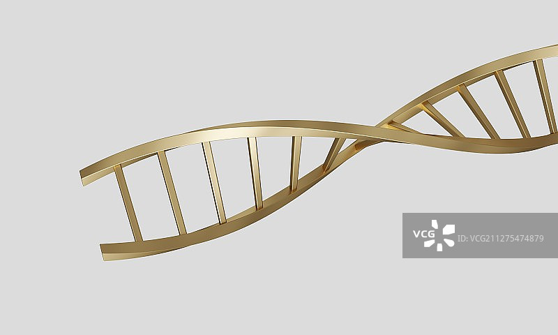 生物医疗概念的三维DNA模型图片素材