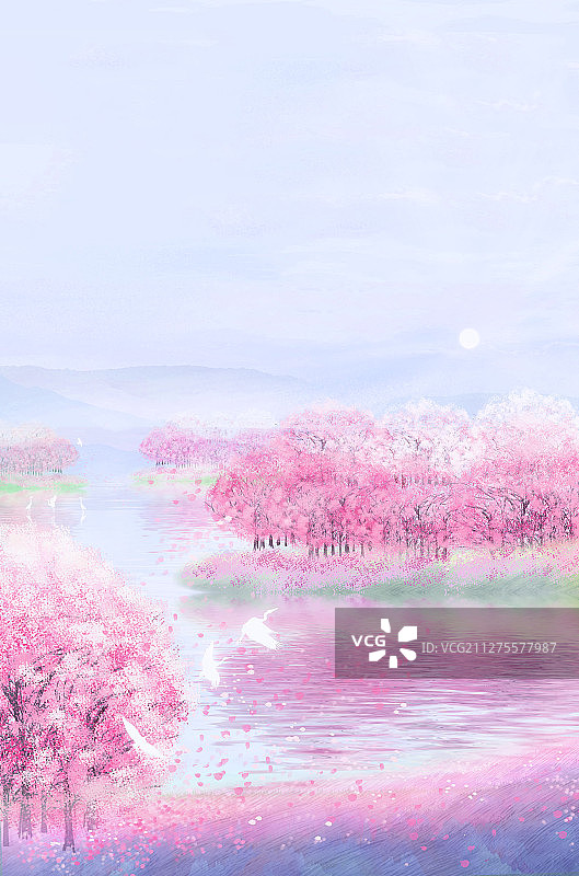 春天早晨樱花园的樱花盛开插画背景图片素材