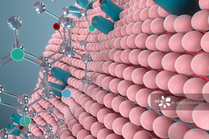 细胞膜磷脂双分子层与化学分子 三维渲染图片素材