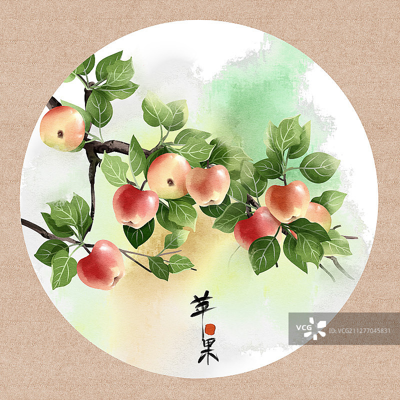 中国风水彩植物水果苹果插画图片素材