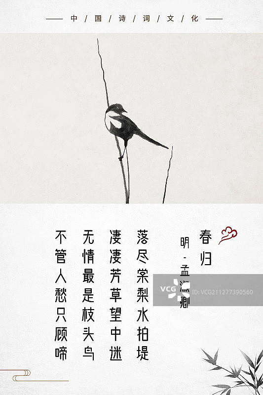 中式古诗词海报枝头鸟图片素材