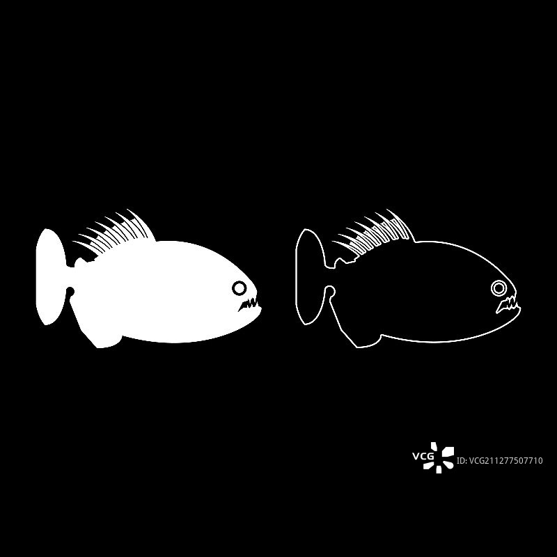 食人鱼愤怒的鱼图标轮廓设置白色图片素材