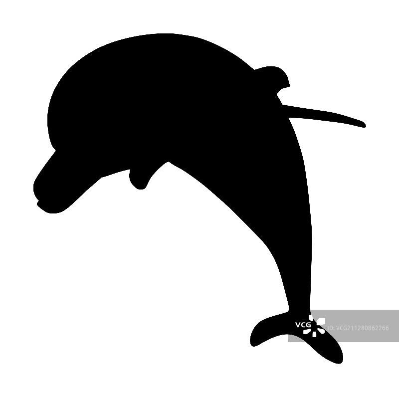 海豚轮廓孤立图片素材