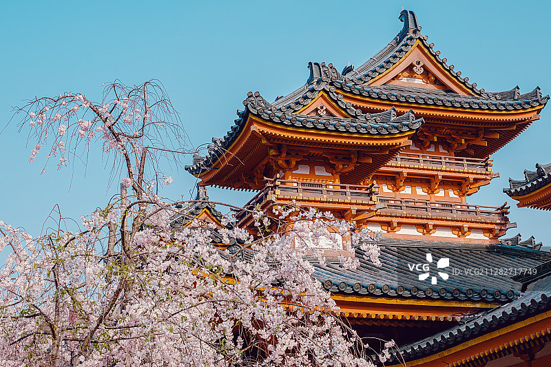 樱花与平安神宫图片素材