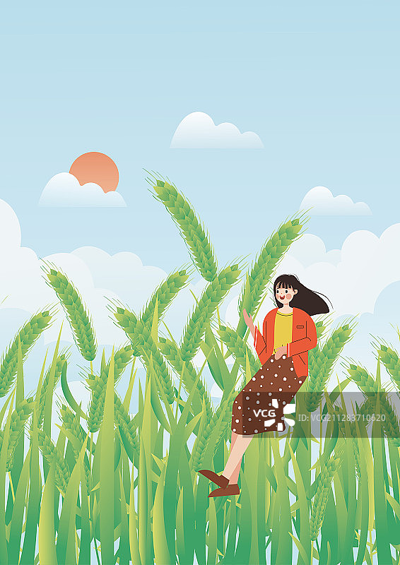 小满节气麦穗生长谷物丰收矢量插画图片素材