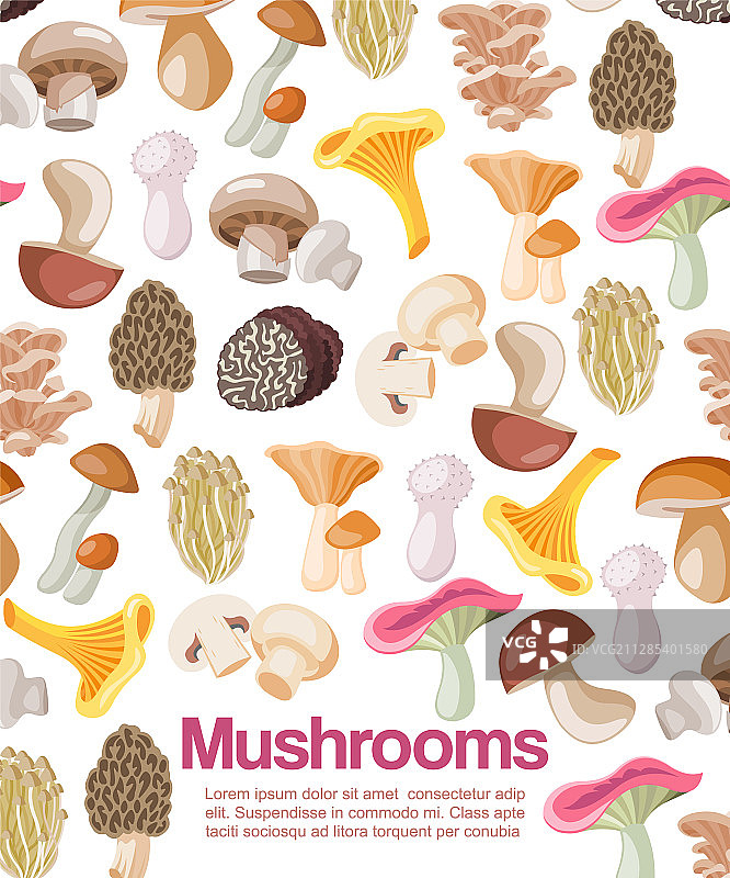 蘑菇食用有机素食蘑菇图片素材