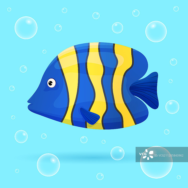 可爱的热带鱼在蓝色的背景和气泡图片素材