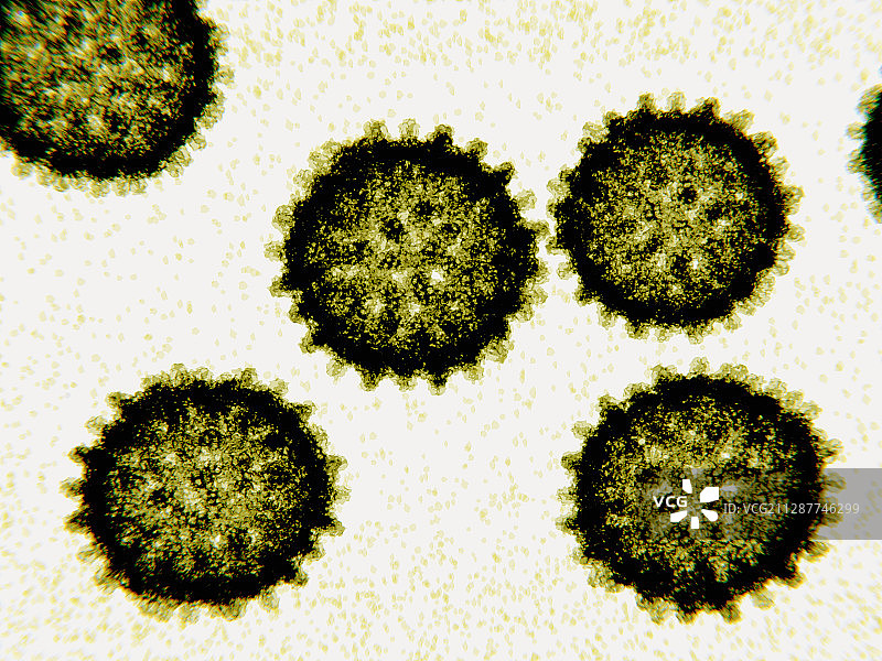丙型肝炎病毒颗粒，插图图片素材
