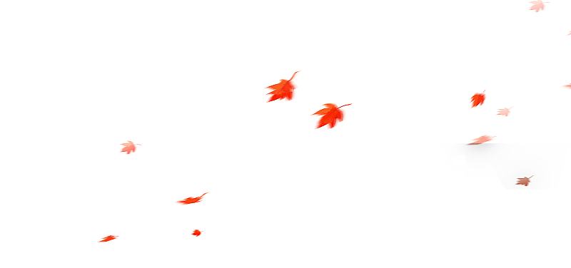 二十四节气秋天红色枫叶落叶图片素材