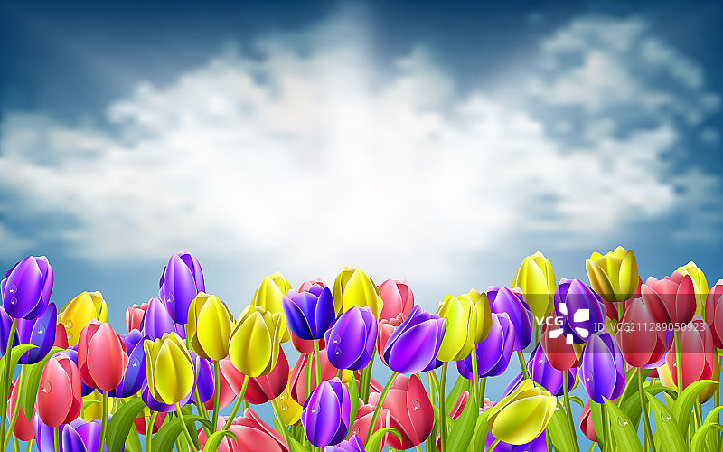 彩色郁金香与天空背景图片素材