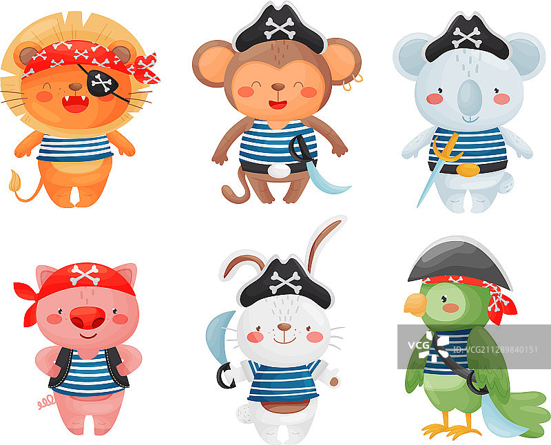 动物海盗戴着头巾和帽子图片素材