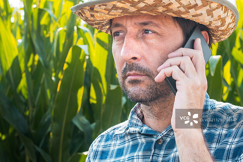 塞尔维亚诺维萨德，在农田里用手机交谈的玉米农民的特写图片素材