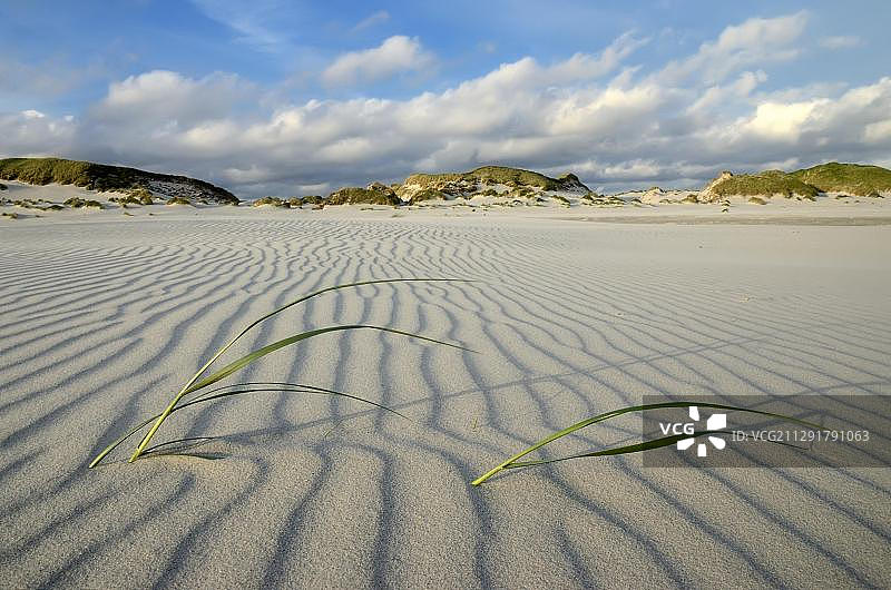 欧洲，德国，北弗里斯兰，北弗里斯兰，石勒苏益格-荷尔斯泰因，阿姆鲁姆岛，Kniepsand海滩沙丘前面的沙子图案图片素材
