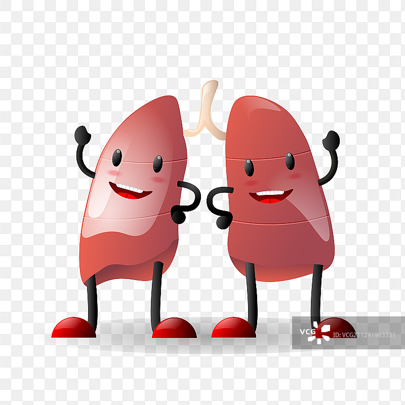 肺是人体内脏器官的真实特征图片素材