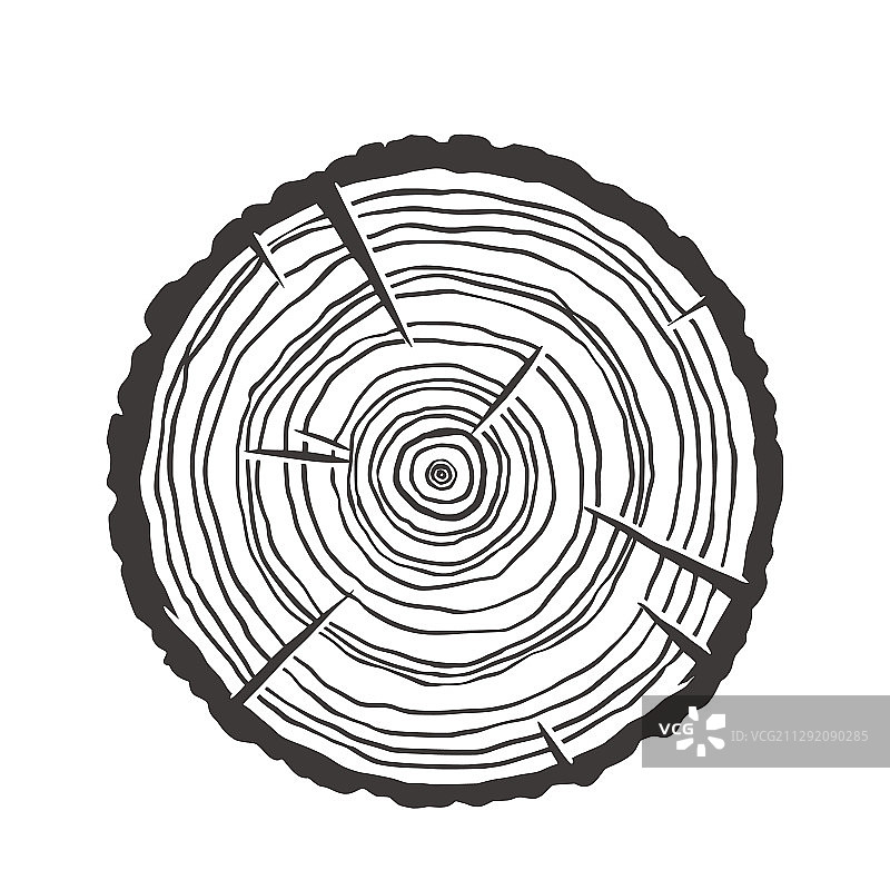 木材纹理年轮切片树桩图片素材