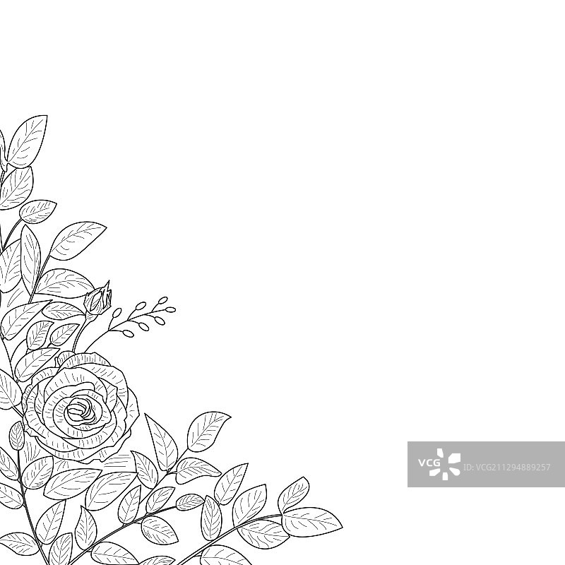玫瑰花孤立在白色背景元素图片素材