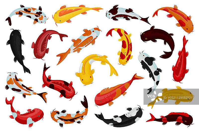 亚洲鲤鱼卡通集图标图片素材
