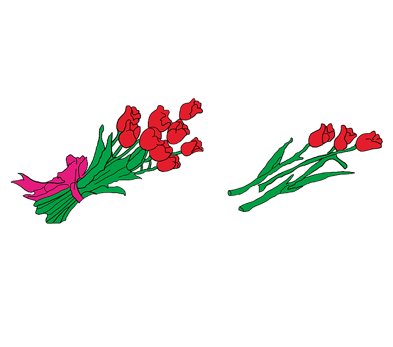 手绘玫瑰花插画图片素材