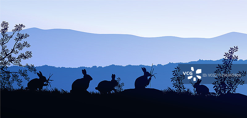 草甸天然林家兔组图片素材