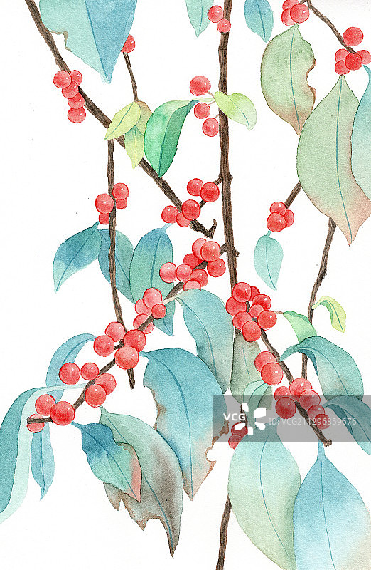 手绘水彩盆栽可爱浆果绿植元素插画素材图片素材