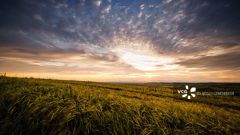 日落时分天空映衬下的农田风景图片素材