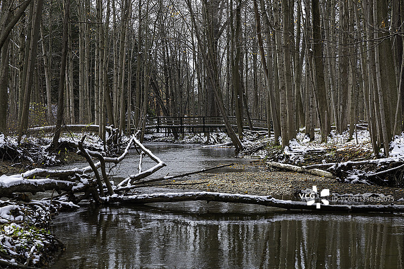 风景湖在森林在冬天，特拉华州，加拿大图片素材