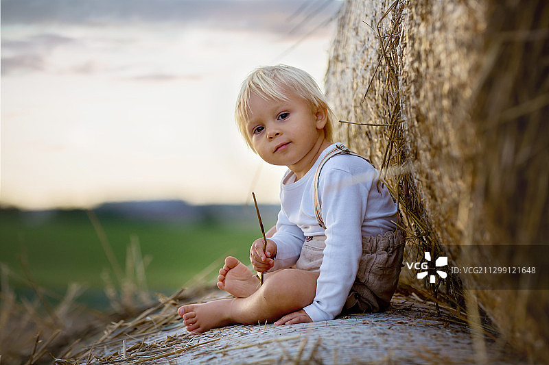 可爱男孩的肖像坐在干草捆上的田野图片素材